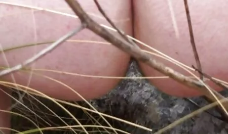 En iyi derleme yeşilcam seksi attırma derleme Aralık
