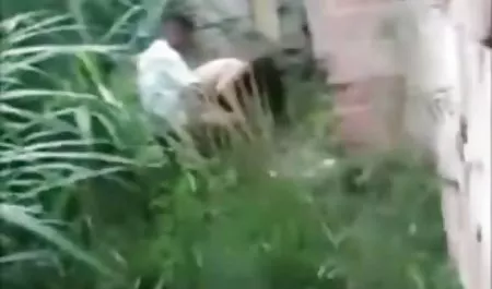 Alexis sürtük yeşilçamın seks filmleri